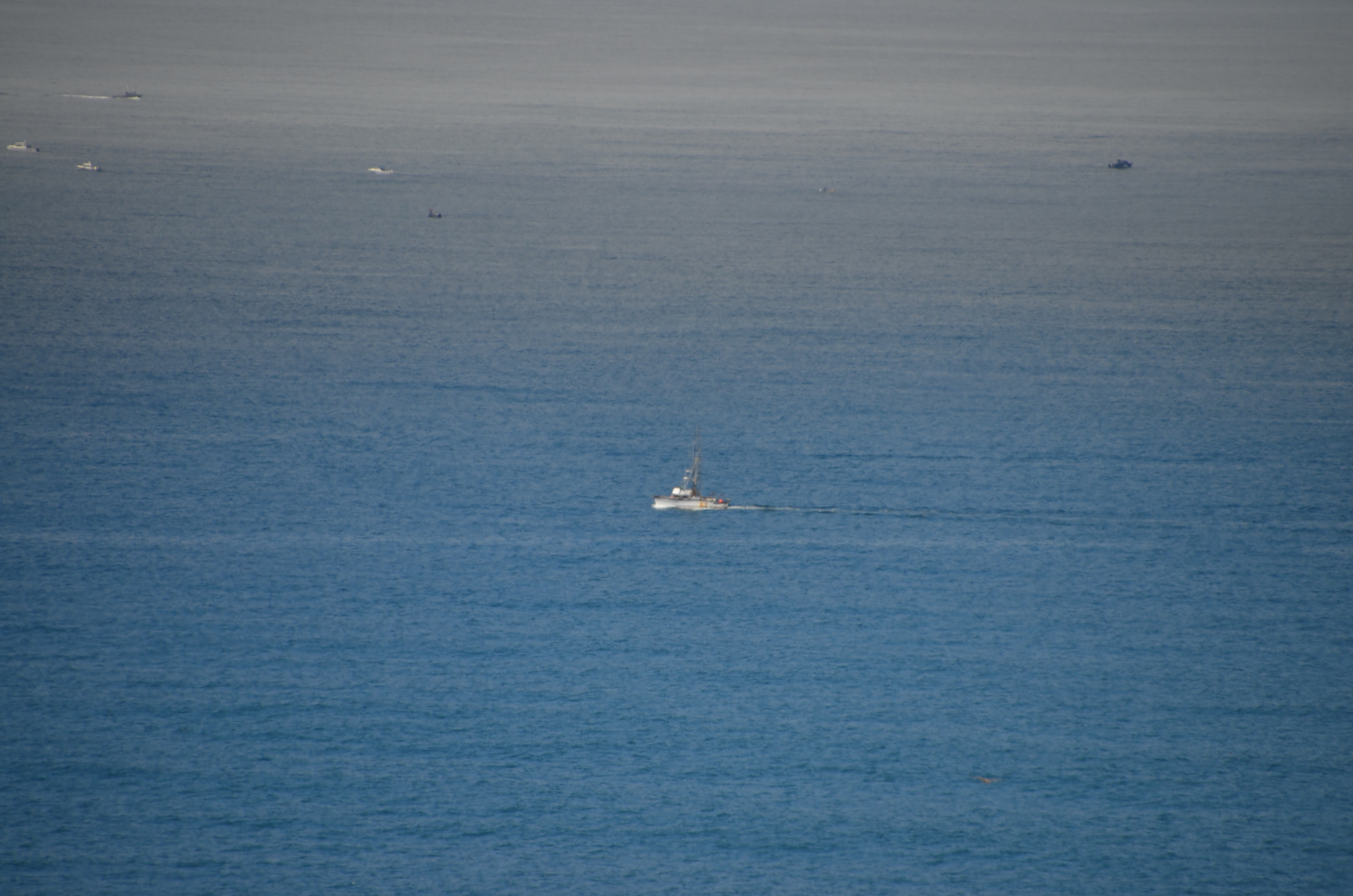 DSC_2255.JPG