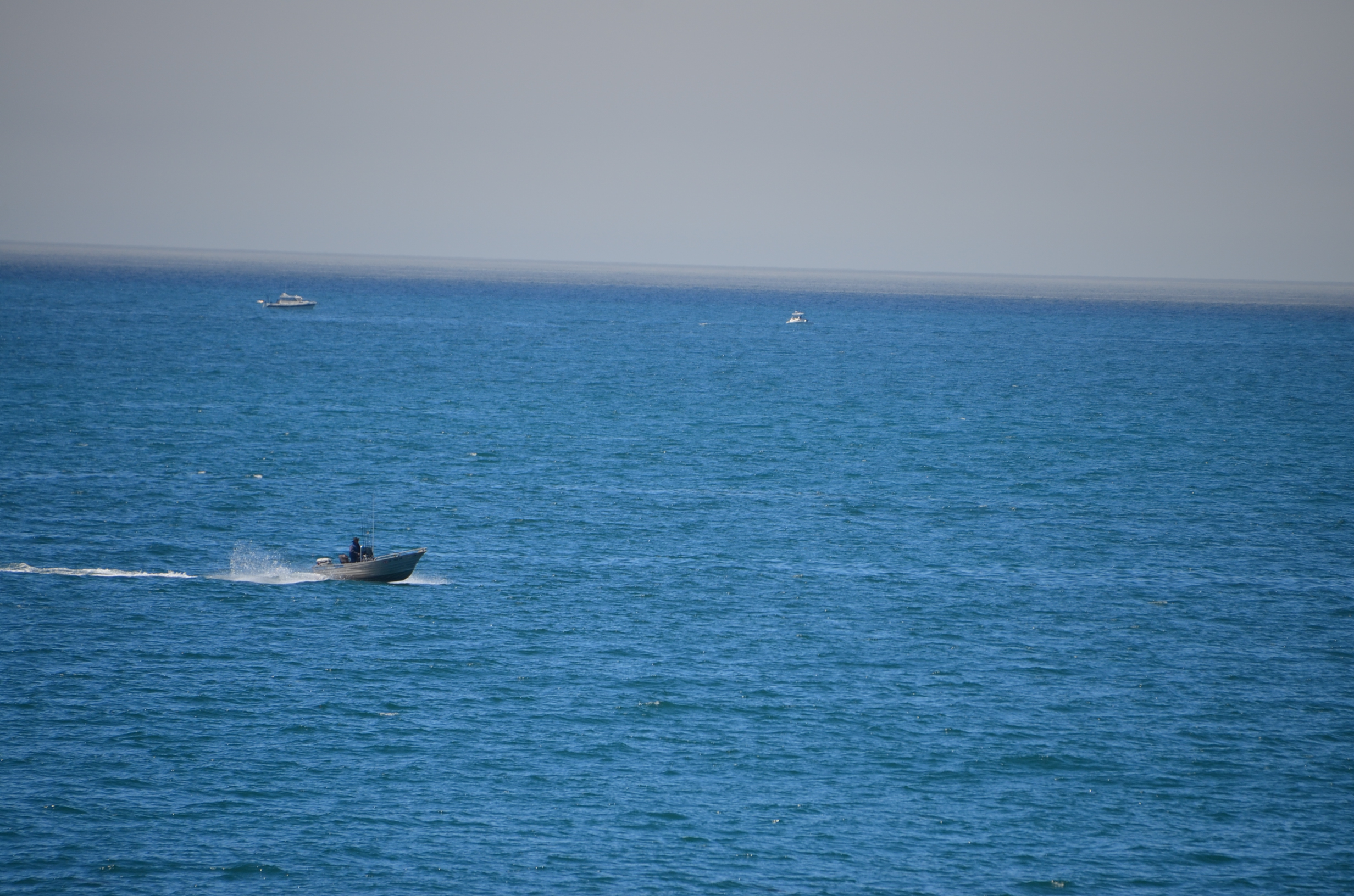 DSC_2318.JPG