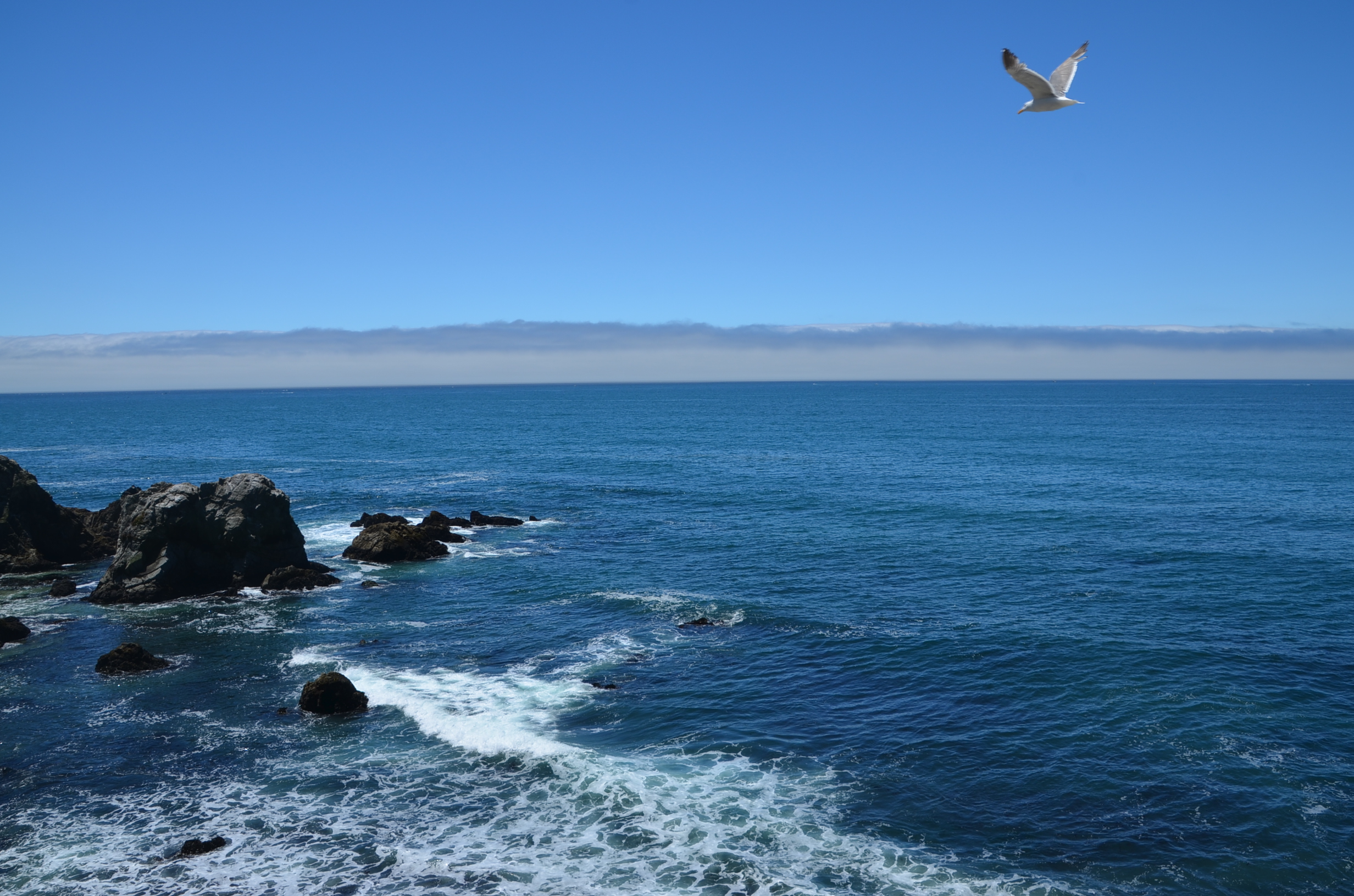 DSC_2292.JPG